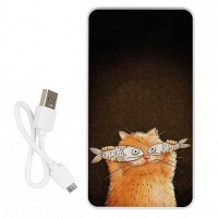 Повербанк ZIZ КОТОФЕЙ  10000 mAh 45060