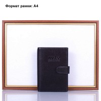 Мужской органайзер для документов DESISAN SHI102-1