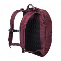 Бордовый рюкзак Victorinox Travel ALTMONT Active/Burgundy Vt602134