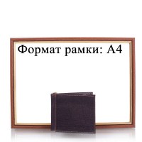 Кожаный зажим для купюр DNK LEATHER DNKGC2-MH-brown