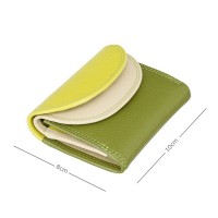 Кожаный женский кошелёк Visconti RB126 Zanzibar (Lime Multi)