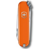 Складной нож Victorinox CLASSIC SD Colors 0.6223.83G