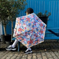 Мини зонт женский механический Fulton L501-041642 Pretty Peony (Милый пион)