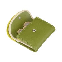 Кожаный женский кошелёк Visconti RB126 Zanzibar (Lime Multi)