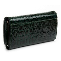 Женский лаковый кожаный кошелек PE DR. BOND PEW1-V green