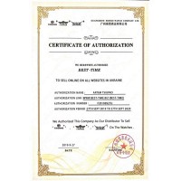 Мужские часы WINNER SIMPLE с автоподзаводом 1106