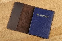 Обложка для паспорта SHVIGEL 13793