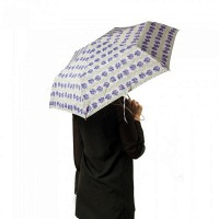 Женский механический зонт Fulton Superslim-2 L553 - Tropical Stripe