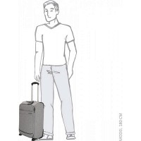 Чемодан Enrico Benetti Dallas Light Grey S Маленький Eb39042 026-50