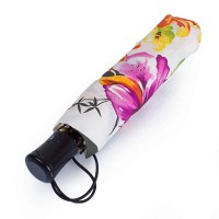 Женский зонт полуавтомат HAPPY RAIN U42280-1