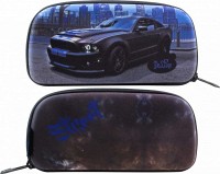 Набор рюкзак, 2 сумки, пенал, фартук для мальчиков DeLune 9-130 FULL SET