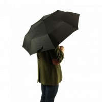 Зонт механический Fulton Stowaway Deluxe-1 L449 - Black (Черный)