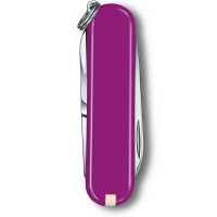 Складной нож Victorinox CLASSIC SD Colors 0.6223.52G