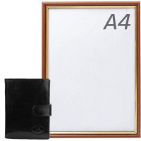 Кошелек мужской кожаный PA DNKPW013L-BTU-black