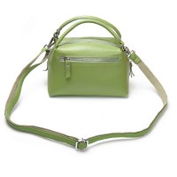 Женский молодежный кожаный клатч ALEX RAI F-5504 apple green