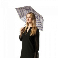 Женский механический зонт Fulton Superslim-2 L553 - Tropical Stripe