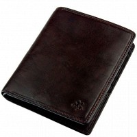 Мужское портмоне Visconti Tuscany TSC-49 BRN с защитой RFID