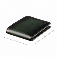 Мужской  кожаный кошелек Visconti AT63 Roland c RFID (Burnish Green)