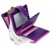 Женское кожаное портмоне Visconti rb40 berry m