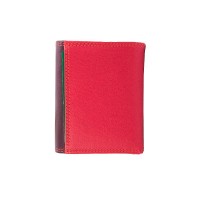 Женский кожаный кошелек Visconti RB126 Zanzibar (Plum Multi)