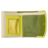 Кожаный женский кошелёк Visconti RB126 Zanzibar (Lime Multi)