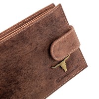 Кожаное портмоне DNK Leather DNK-02L-BAW-TAN