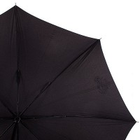Полуавтоматический женский стильный зонт-трость  NEX