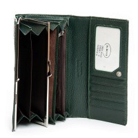 Женский лаковый кожаный кошелек PE DR. BOND PEW1-V green