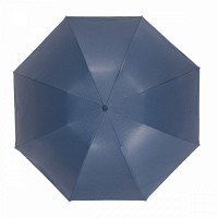 Зонт женский механический Fulton L929 Mini Invertor-2 China Rose (Китайская роза)