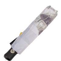 Зонт женский  автомат ZEST Z83726-S010