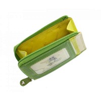 Кожаная визитница Visconti rb110 lime m