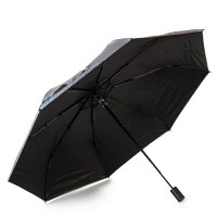 Женский механический зонт Susino DS01-2