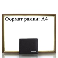 Мужской кожаный кошелек KARYA SHI0941-39-10FL