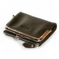 Женский кожаный кошелек Classik  DR. BOND WN-23-13 green