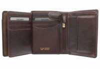 Мужской бумажник Visconti TSC44 Lucca (Brown) с защитой RFID
