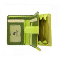Женский кожаный кошелек Visconti Fiji rb51 lime m