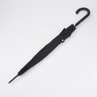 Женский зонт-трость полуавтомат Fulton L847 National Gallery Bloomsbery-2 Tiger Surprised (Тигр)