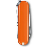 Складной нож Victorinox CLASSIC SD Colors 0.6223.83G