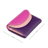 Кожаный женский кошелёк Visconti RB126 Zanzibar (Berry Multi)