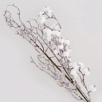Ветка заснеженная с ягодами, 23 см Новогодько 973251
