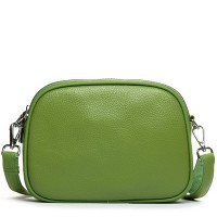 Женский молодежный кожаный клатч ALEX RAI 17006 apple green