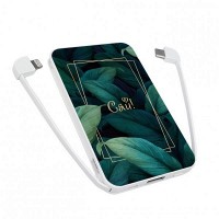 Повербанк ZIZ СЯЙ 5000 mAh 44064