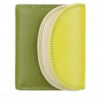 Кожаный женский кошелёк Visconti RB126 Zanzibar (Lime Multi)