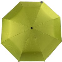 Зонт женский полуавтомат FARE fare5529-lime
