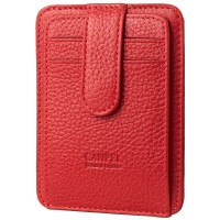 Кожаная кредитница CANPELLINI shi091-172